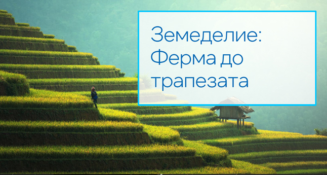 Земеделие: Ферма до трапезата