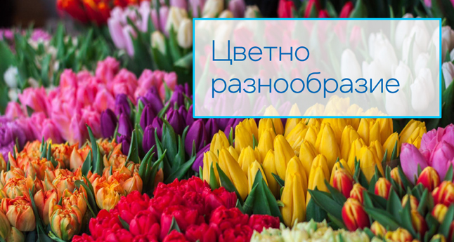Цветно разнообразие