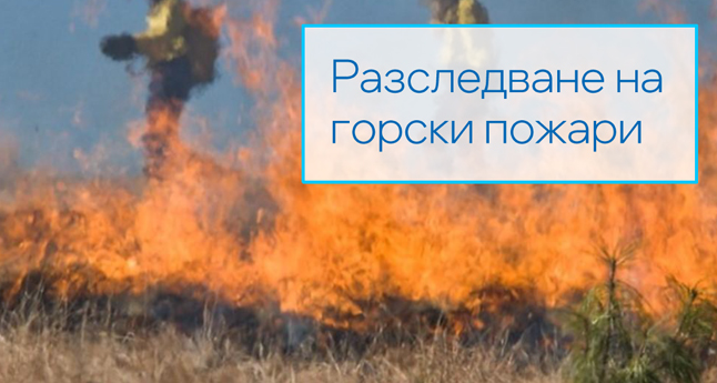 Разследване на горски пожари